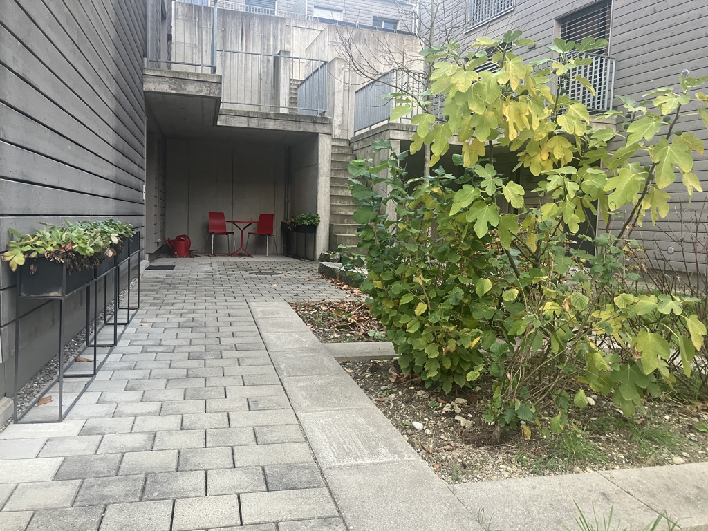 53740D36-C78B-47E3-B59F-9489AA1FA7F3_1_105_c